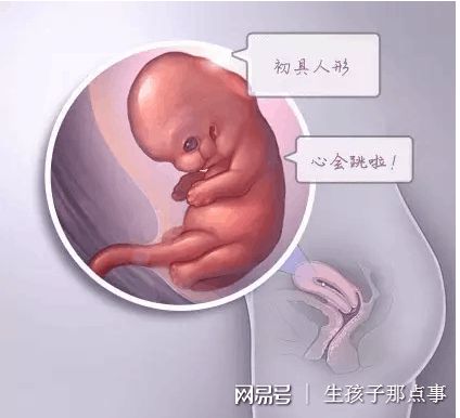安孕冻胚移植专科
